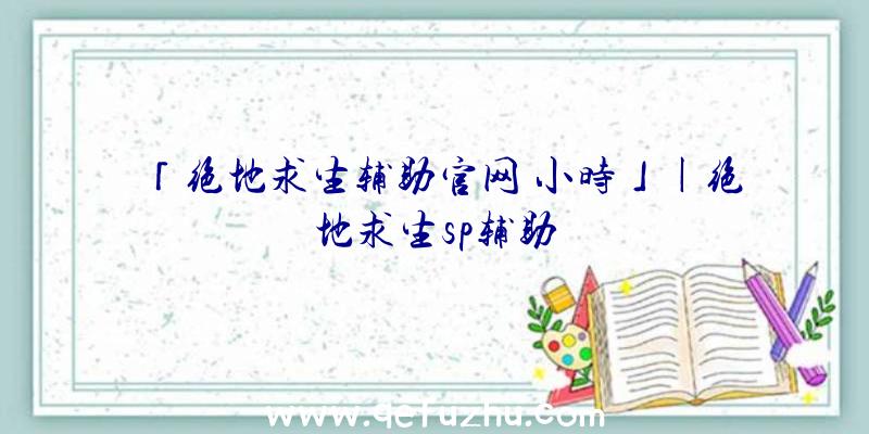 「绝地求生辅助官网